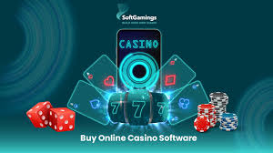 Your Increase associated with Online Casino houses: Your Electronic Playing Movement